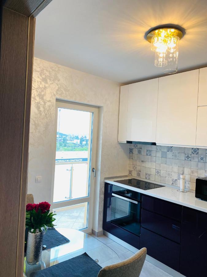 Dina Lux Iasi Apartment Buitenkant foto